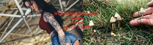 амф Белокуриха
