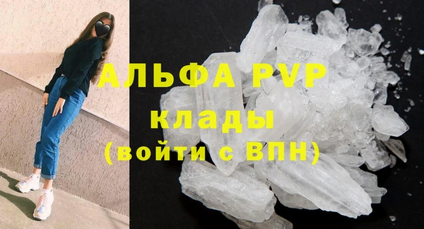 амф Белокуриха