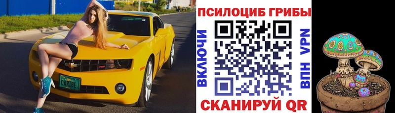 ОМГ ОМГ сайт  Выборг  Псилоцибиновые грибы Magic Shrooms 