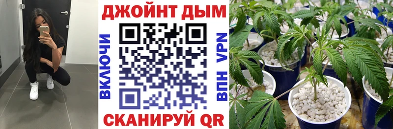 Конопля SATIVA & INDICA Выборг